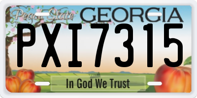 GA license plate PXI7315