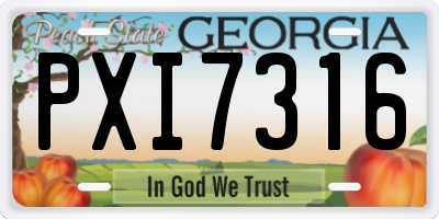 GA license plate PXI7316