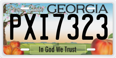 GA license plate PXI7323