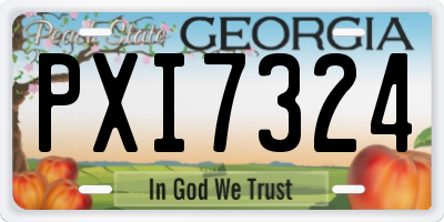 GA license plate PXI7324