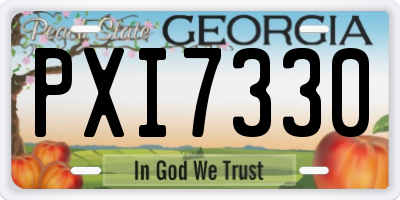 GA license plate PXI7330