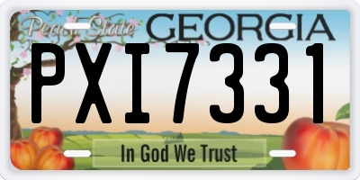 GA license plate PXI7331