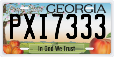GA license plate PXI7333