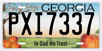 GA license plate PXI7337