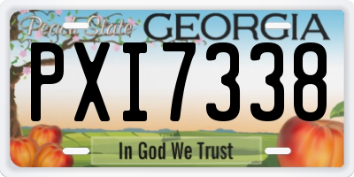 GA license plate PXI7338