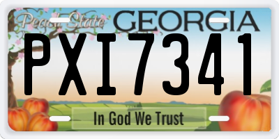 GA license plate PXI7341