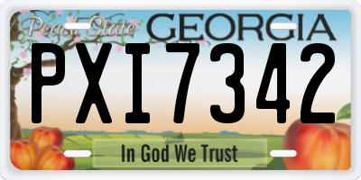 GA license plate PXI7342