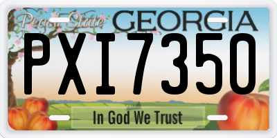 GA license plate PXI7350