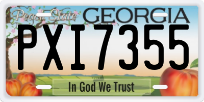 GA license plate PXI7355