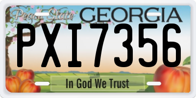 GA license plate PXI7356