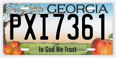 GA license plate PXI7361