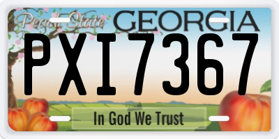 GA license plate PXI7367