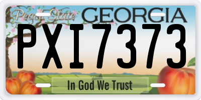 GA license plate PXI7373