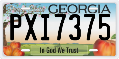 GA license plate PXI7375