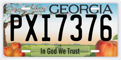 GA license plate PXI7376