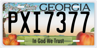 GA license plate PXI7377