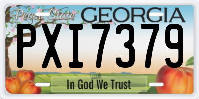 GA license plate PXI7379