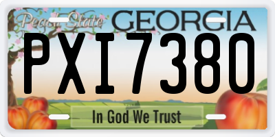 GA license plate PXI7380