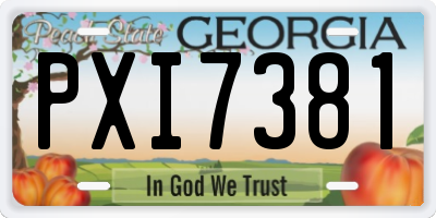 GA license plate PXI7381
