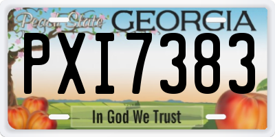GA license plate PXI7383