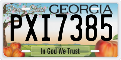 GA license plate PXI7385