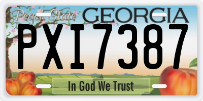 GA license plate PXI7387