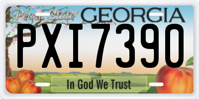 GA license plate PXI7390