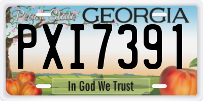 GA license plate PXI7391