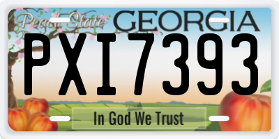 GA license plate PXI7393
