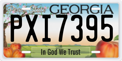 GA license plate PXI7395