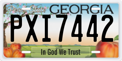 GA license plate PXI7442