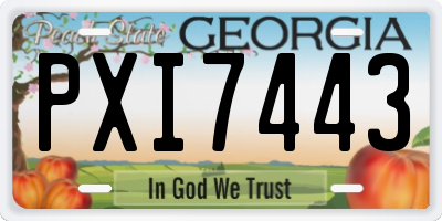 GA license plate PXI7443