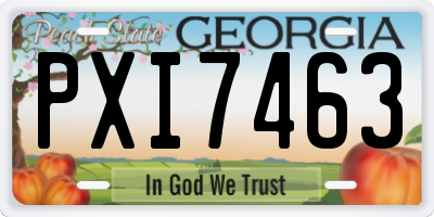 GA license plate PXI7463