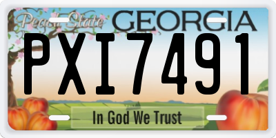 GA license plate PXI7491
