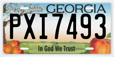 GA license plate PXI7493