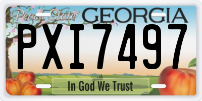 GA license plate PXI7497