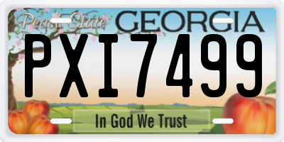 GA license plate PXI7499