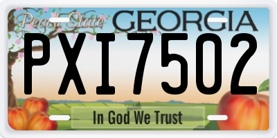 GA license plate PXI7502