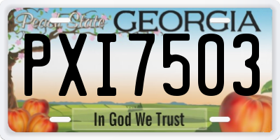 GA license plate PXI7503