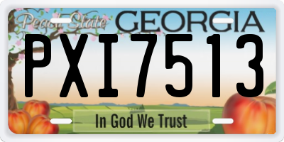 GA license plate PXI7513
