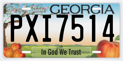 GA license plate PXI7514