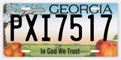 GA license plate PXI7517