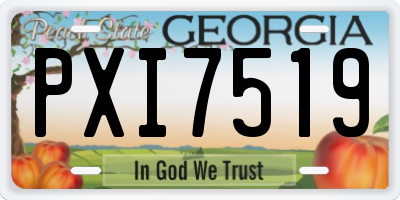 GA license plate PXI7519