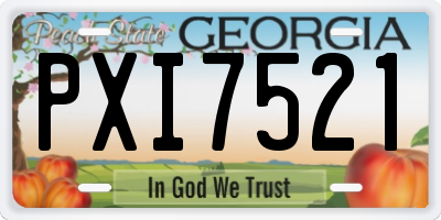 GA license plate PXI7521