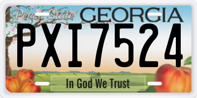 GA license plate PXI7524