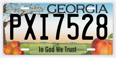 GA license plate PXI7528