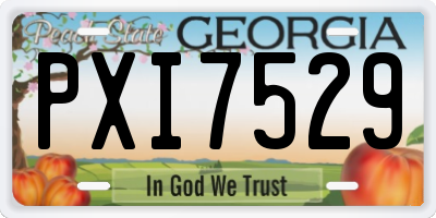 GA license plate PXI7529