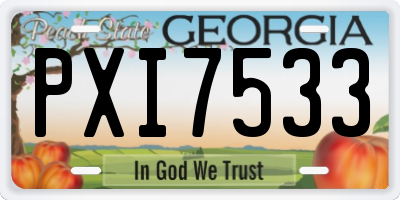 GA license plate PXI7533
