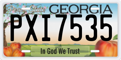 GA license plate PXI7535