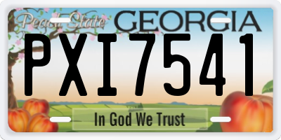 GA license plate PXI7541
